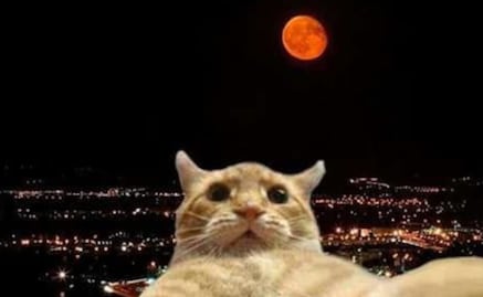 El eclipse lunar y el cambio de nombre del Estadio Azteca, en lo memes de la semana