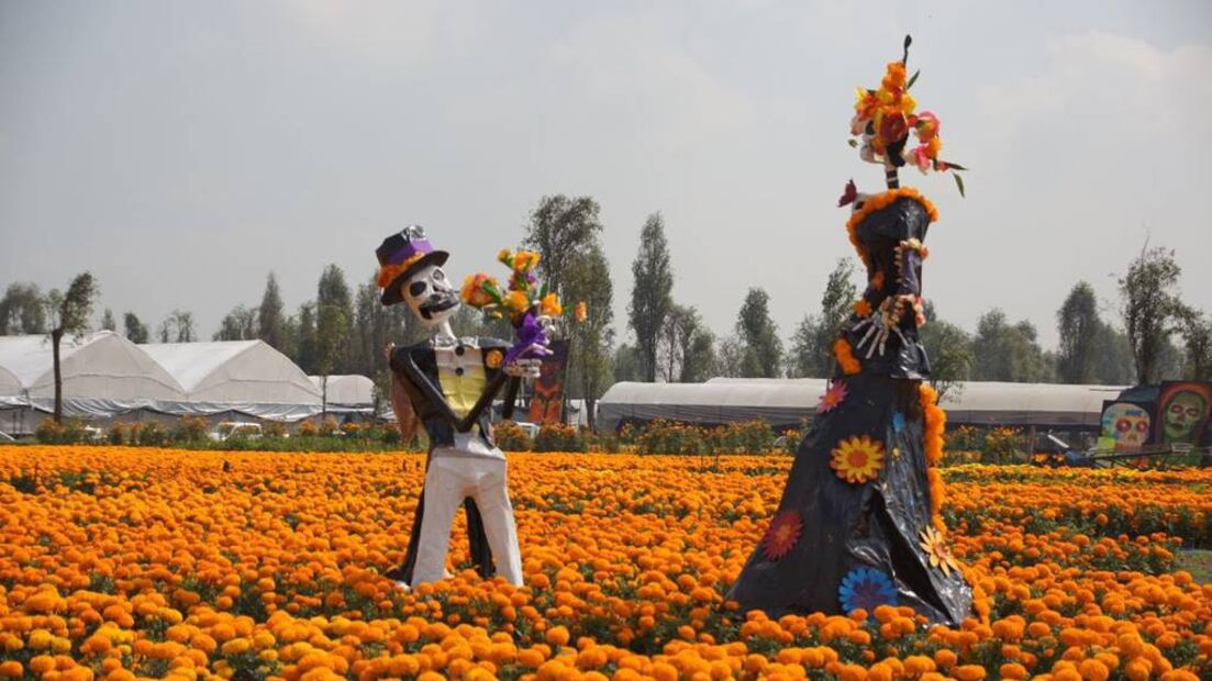 Foto: Secretaría del Medio Ambiente