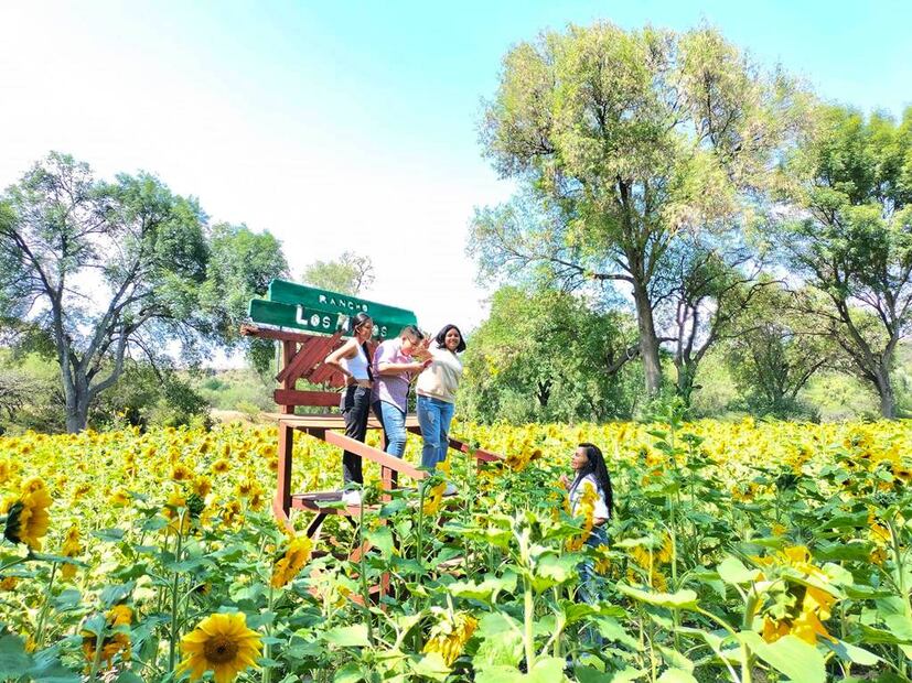 Foto: Rancho Los Alamos