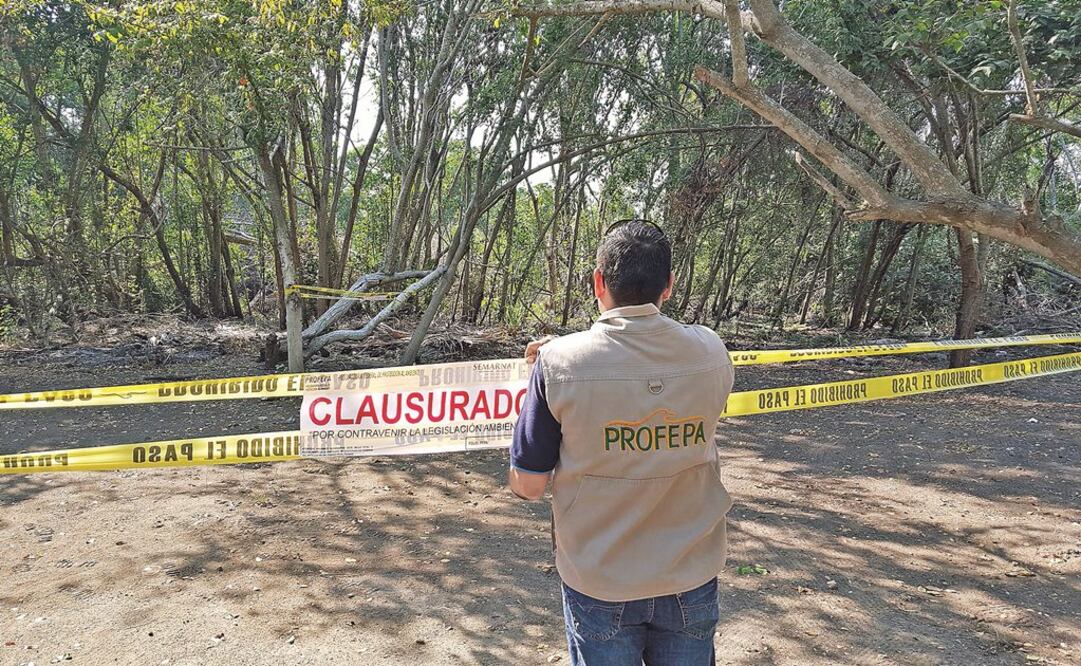 Foto: Archivo / EL UNIVERSAL