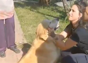Llevó a su perrito a la carnicería y pidió que lo mataran y se lo entregaran para comer
