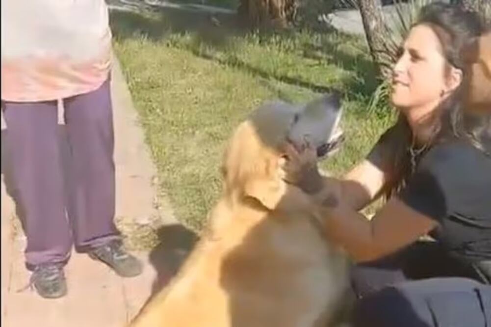 Tobías se salvó de que lo mataran y destazaran en una carnicería, en Argentina. FOTO: CAPTURA