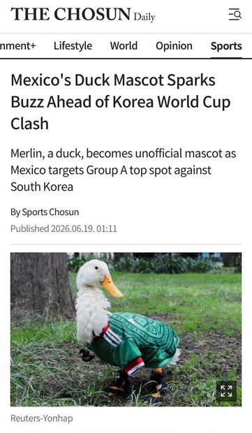 La fama del Pato Merlín llegó hasta Corea. Foto: Captura The Chosun Daily