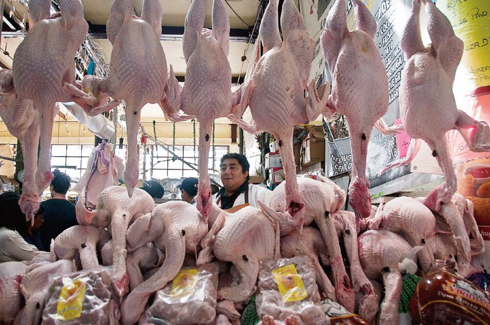 Para estas fiestas decembrinas, el costo de un pavo de 10 kilos es de 650 pesos, según a lo que se oferta en los mercados (ARCHIVO EL UNIVERSAL)