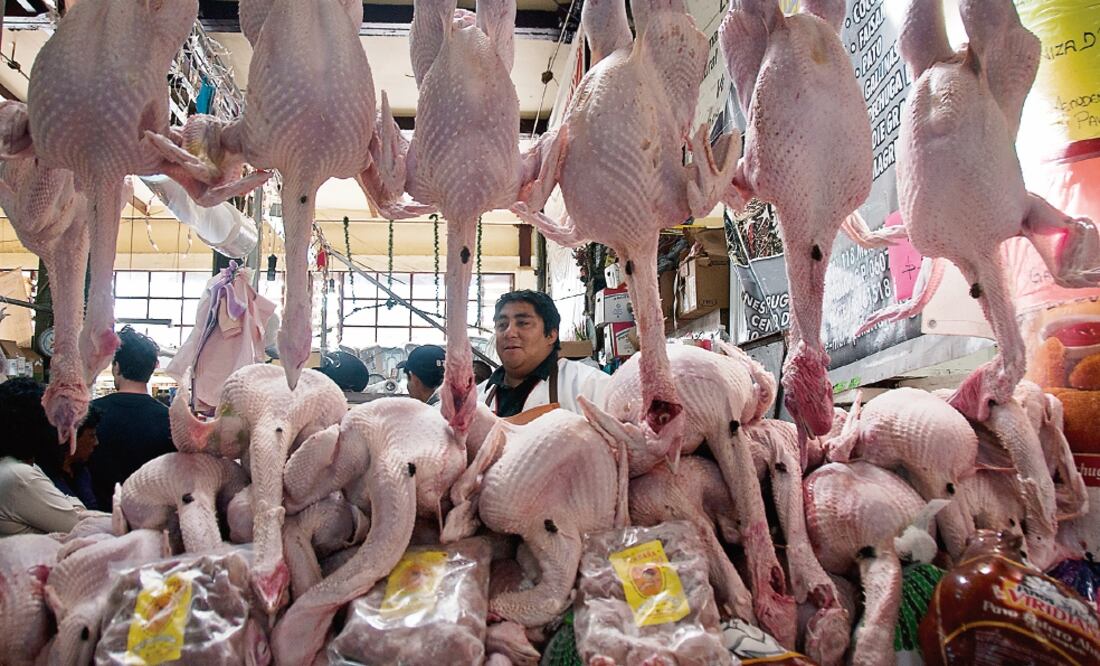 Para estas fiestas decembrinas, el costo de un pavo de 10 kilos es de 650 pesos, según a lo que se oferta en los mercados (ARCHIVO EL UNIVERSAL)