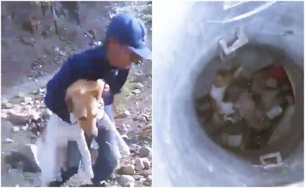VIDEO: Acto de crueldad animal en León, Guanajuato; jóvenes amarran y arrojan a perrito a un pozo