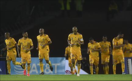 Un caso positivo por Covid-19 en Tigres