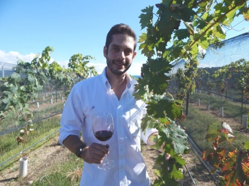 En Coahuila hay buen vino, conoce estas 4 bodegas