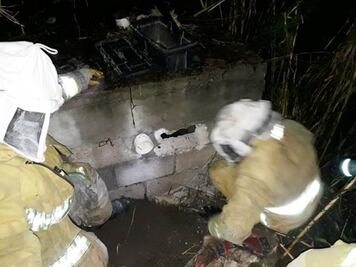 Mujer muere tras ataque de enjambre en Oaxaca