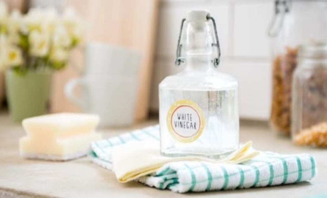 Este truco no puede faltar en la rutina de limpieza del hogar. Foto: Pexels