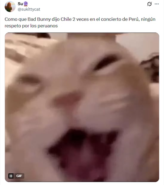 Memes del primer concierto del DTMF World Tour en Lima, Perú. Foto: X