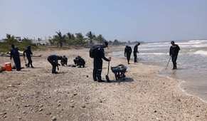 Greenpeace presenta dos denuncias por derrame de petróleo en el Golfo de México; pide identificar a los responsables de la contaminación 