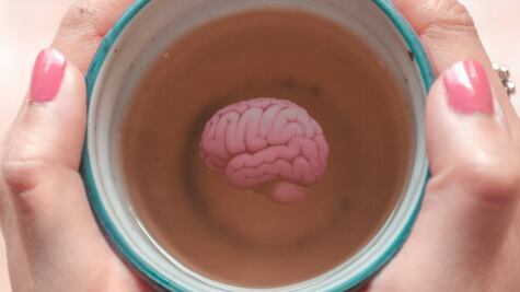 3 remedios naturales para beber antes de ir a la cama y prevenir problemas de memoria