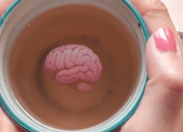 La hierba que debes tomar en infusión mientras realizas trabajo intelectual