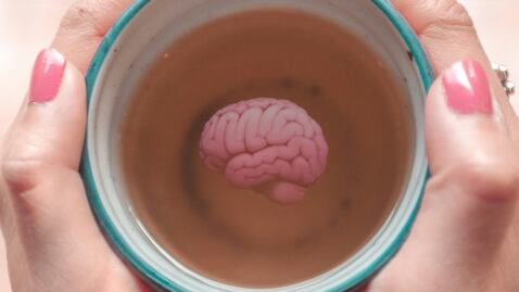 La hierba que debes tomar en infusión mientras realizas trabajo intelectual