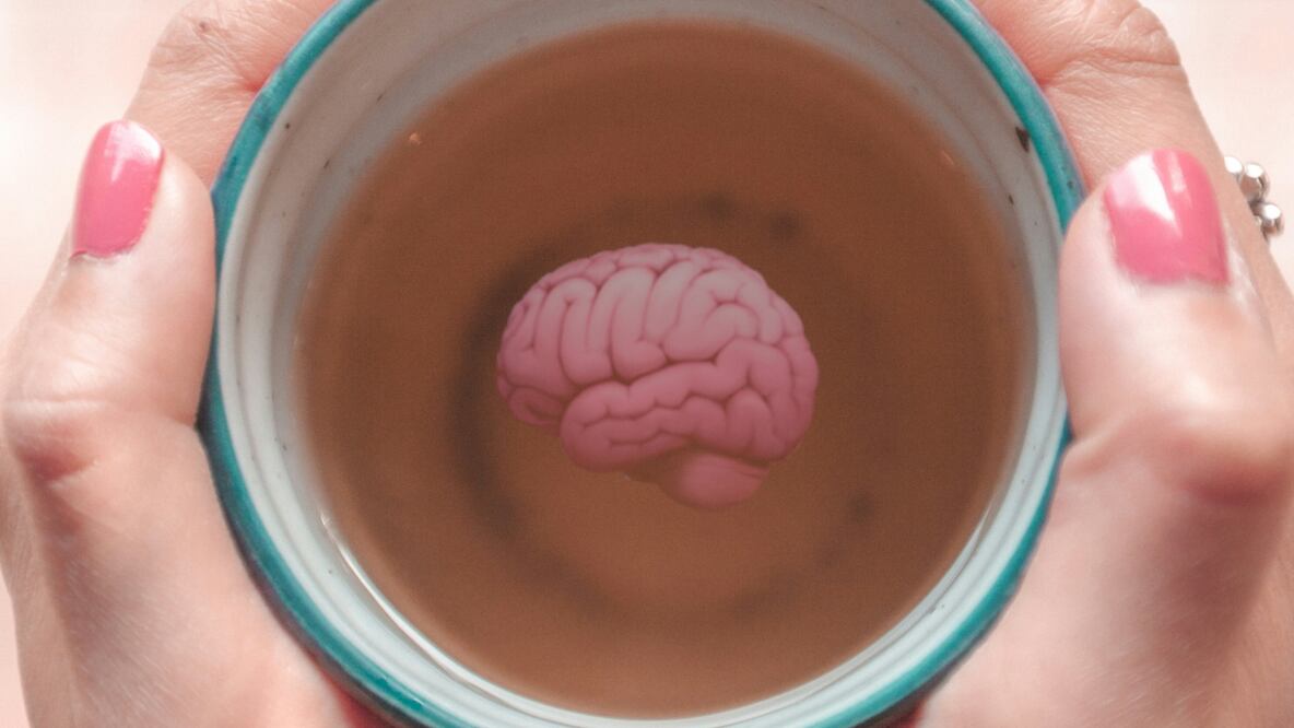 Té para el intelecto | Fuente: Producción EU