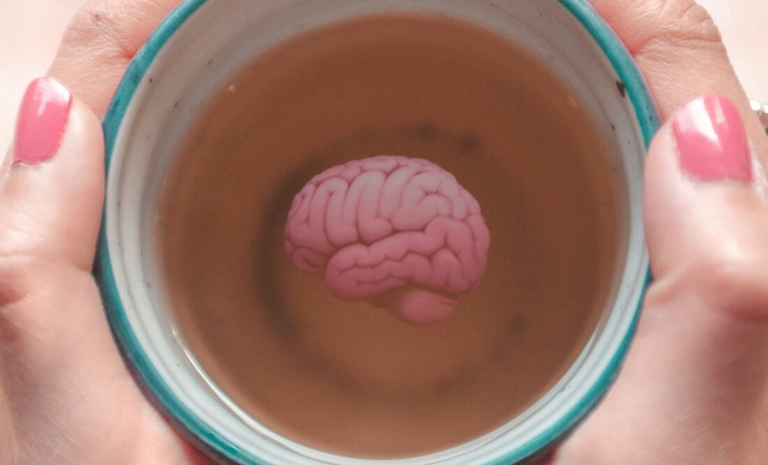 Té para el intelecto | Fuente: Producción EU