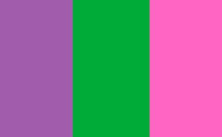 Bandera feminista 2021. ¿Qué significan los colores violeta, verde y rosa?