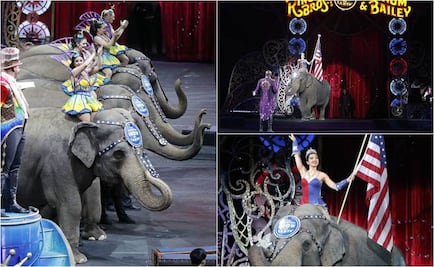 Elefantes actúan por última vez en el circo Ringling Bros. 