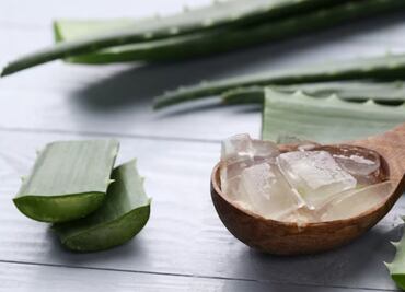 Conoce la planta "milagrosa" que ayuda a aliviar el dolor de rodilla