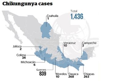 Chikungunya hits 10 Mexican states