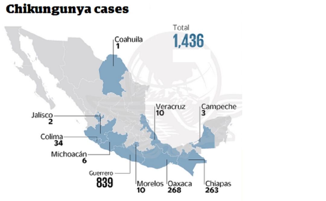 Chikungunya hits 10 Mexican states