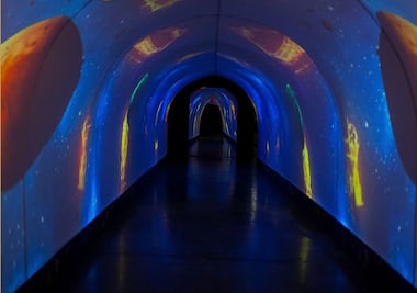 Podrás visitar “El universo de Leonardo da Vinci” gratis en el Zócalo