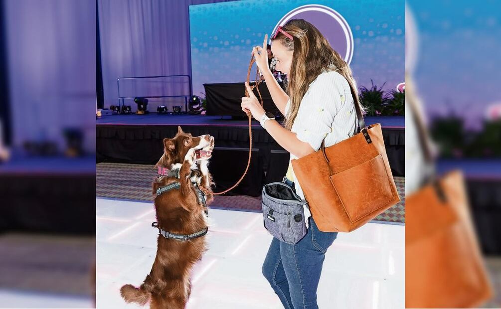 En EU, los servicios presenciales aseguran una recurrencia importante, por ejemplo, baño y estética, guarderías, paseadores, entrenadores y hoteles caninos. Foto: The Pet Summit