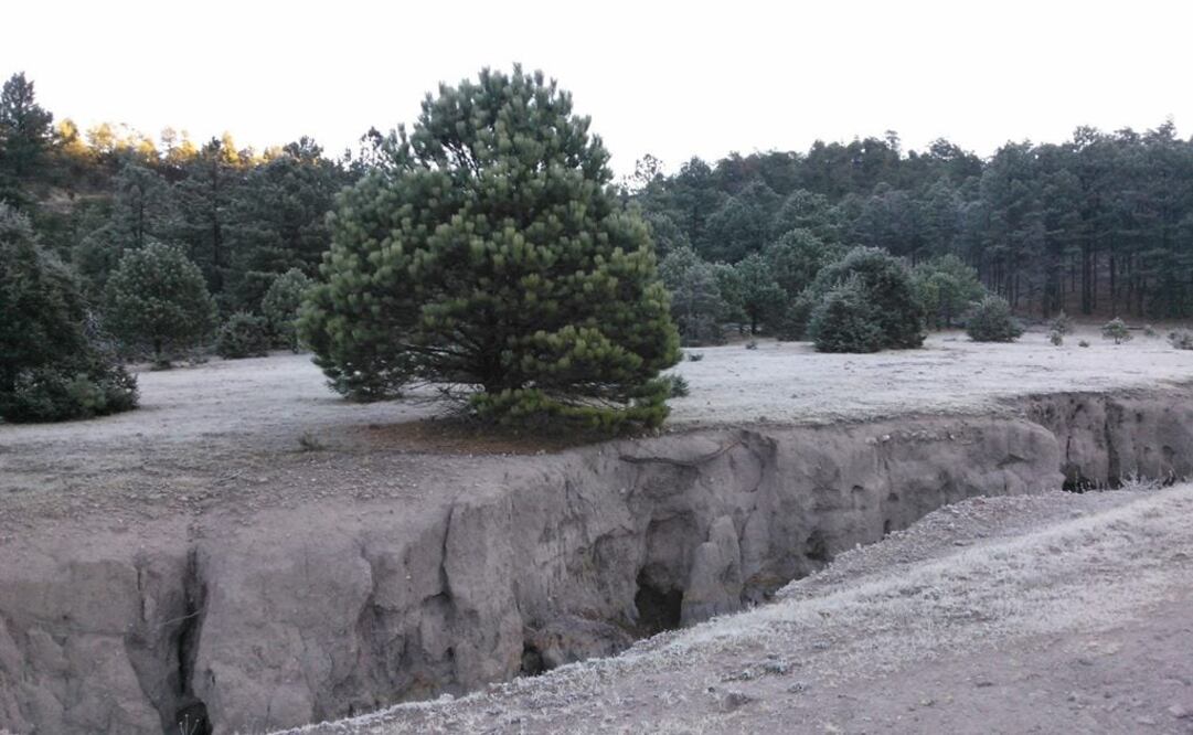 Foto: Archivo EL UNIVERSAL