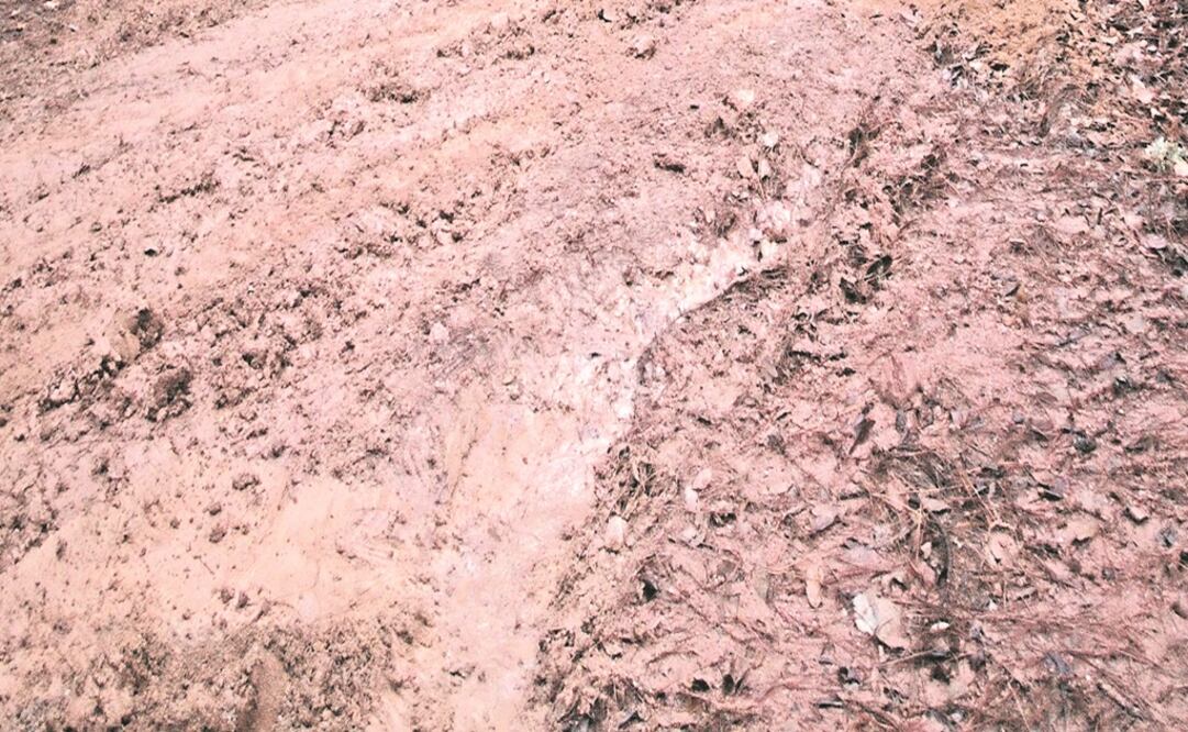 Foto: Archivo / EL UNIVERSAL 