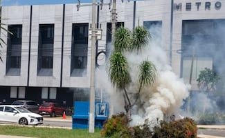 Enjambre de abejas ataca a jardinero en calles de Mérida, Yucatán; el hombre prendió fuego a un árbol para ahuyentarlas