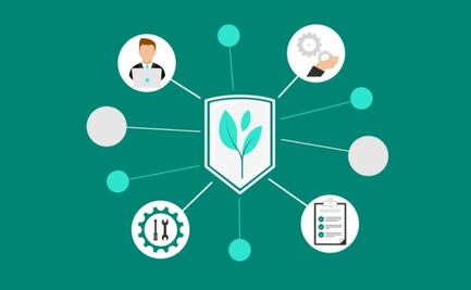 Microsoft quiere que el desarrollo de software sea amigable con el medio ambiente