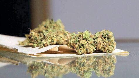 Aseguran media tonelada de marihuana y siete vehículos en Chihuahua