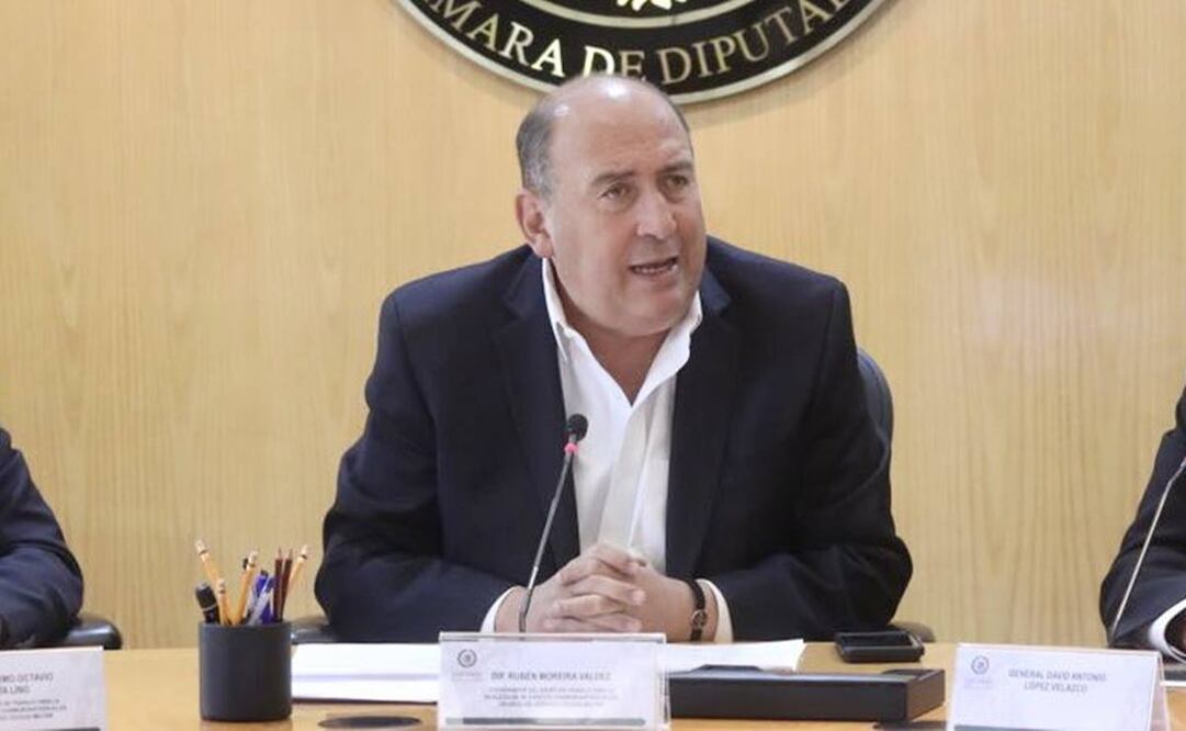 El coordinador de la bancada del PRI, en la Cámara de Diputados dijo que su bancada no estuvo de acuerdo con la designación de Ana Yadira Alarcón Márquez y Rafael Luna Alviso / Foto tomada de Twitter 