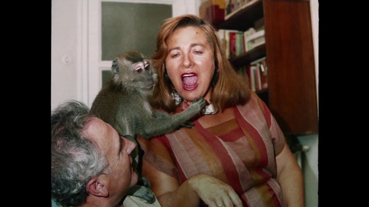 Muchos hijos, un mono y un castillo, o la tragicomedia de la excentricidad