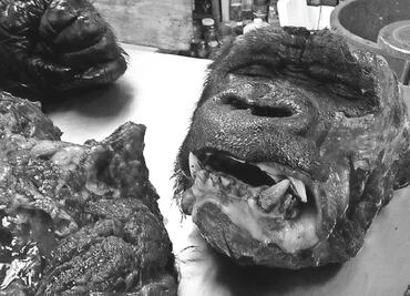 Una necropsia que parece carnicería, lo más leído