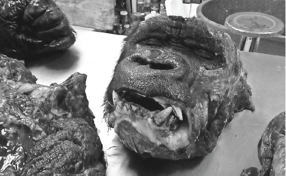 Una necropsia que parece carnicería, lo más leído