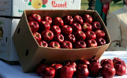 Imponen cuotas a manzanas estadounidenses