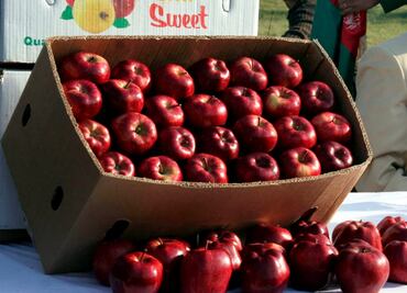 Imponen cuotas a manzanas estadounidenses