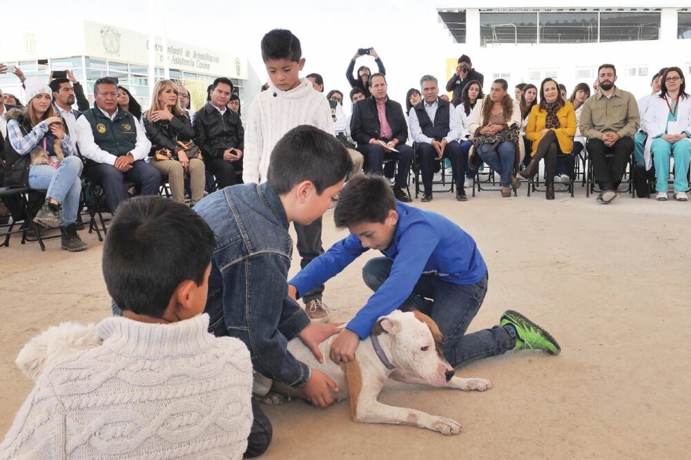 Perros adiestrados para promover actividades sensoriales participan en el Centro Infantil de Rehabilitación con Asistencia Canina del Estado de México (ESPECIAL)