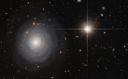 Alistan Noche de las Estrellas