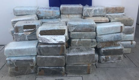 Policía Federal asegura casi 900 kilos de marihuana en Tijuana