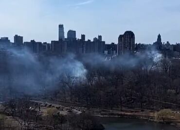¡Fuego en Central Park! El famoso parque de Nueva York registra 10 pequeños incendios