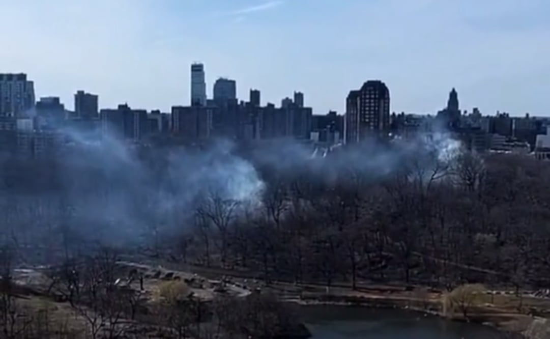 Incendio en Central Park en Nueva York. Foto: @PMBreakingNews