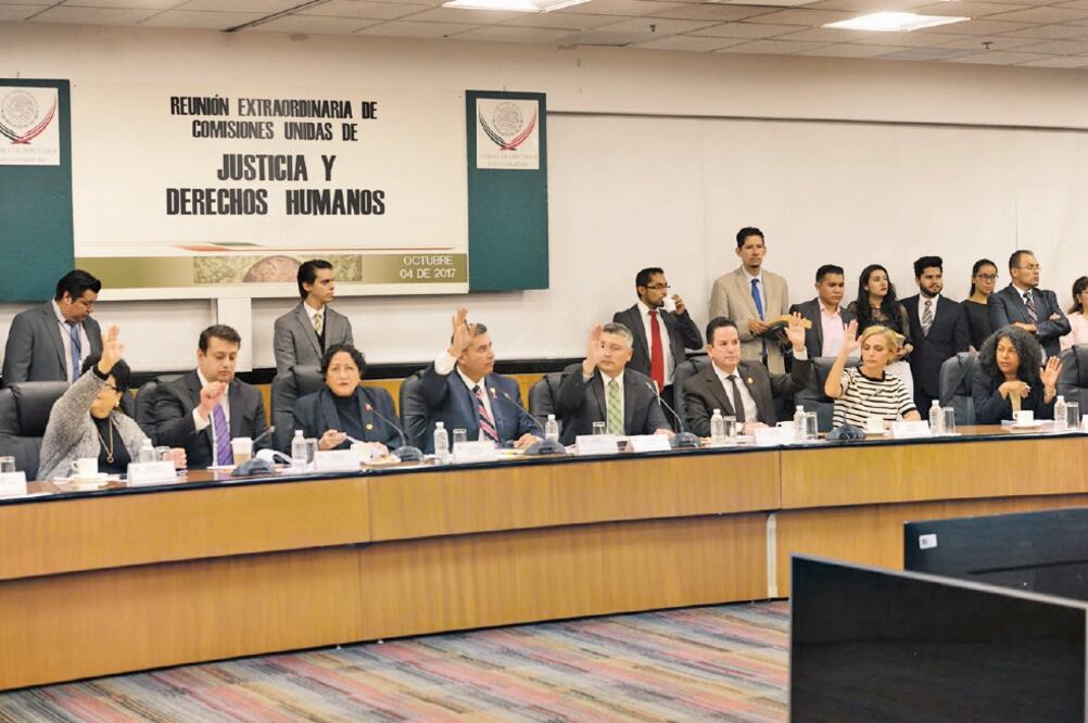 El dictamen fue elaborado además por organizaciones civiles, el Alto Comisionado de Naciones Unidas y el Comité Internacional de la Cruz Roja (CÁMARA DE DIPUTADOS)