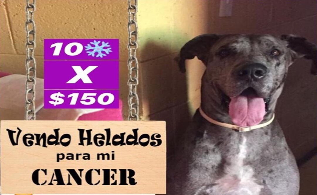 Foto: Tomada de Twitter de @Abc_xF