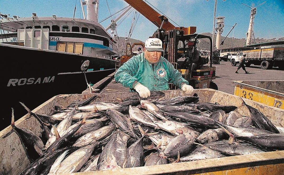 OMC autoriza a México sancionar a EU por caso del atún