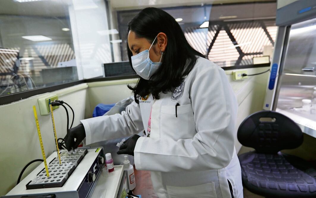 En BC, el Semefo rastrea drogas en los muertos foto: Especial