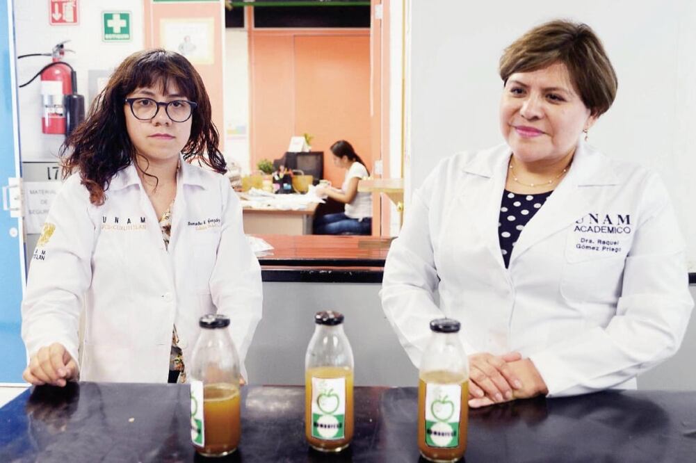 Raquel Gómez Pliego, académica de la FES Cuautitlán de la UNAM, creó la bebida. (ESPECIAL)