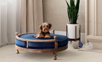 Mascotas tendrán muebles que "combinen" con la decoración del hogar